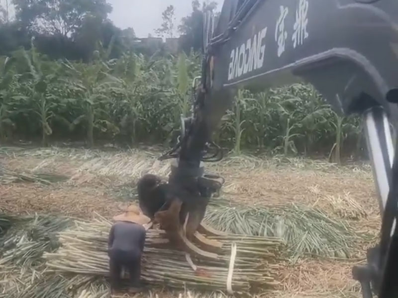 寶鼎抓木機