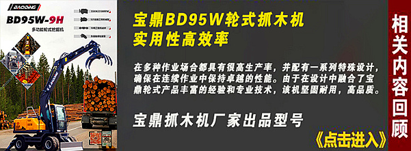 寶鼎95輪式抓木機(jī)型號(hào)