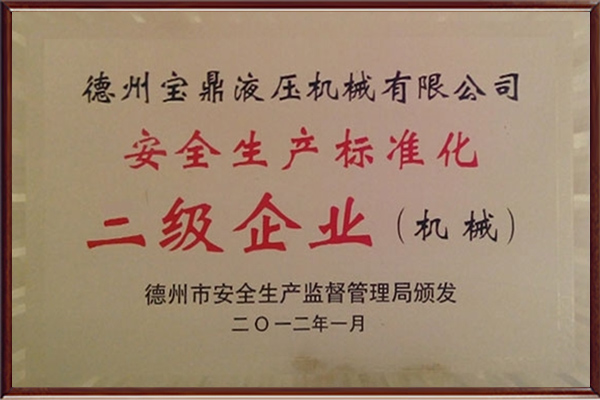 安全生產(chǎn)標(biāo)準(zhǔn)化二級企業(yè)證書